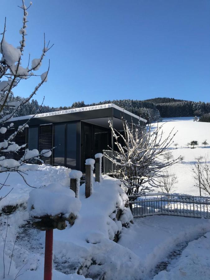 S-Suite Das Design-Ferienhaus Im Schwarzwald Biberach  ภายนอก รูปภาพ