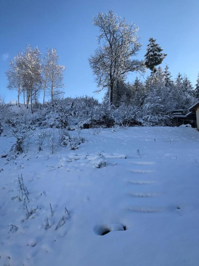 S-Suite Das Design-Ferienhaus Im Schwarzwald Biberach  ภายนอก รูปภาพ